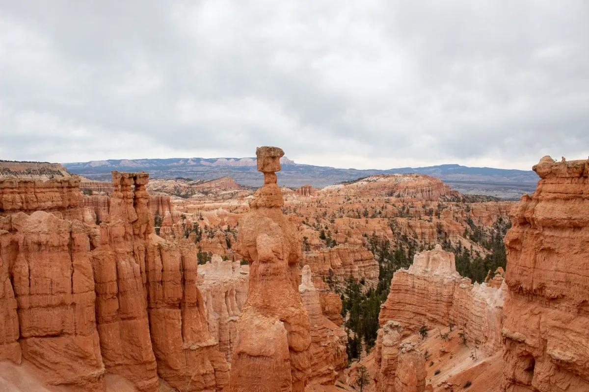 Thousands of hoodoos, shaped by frost and water over thousands of years.