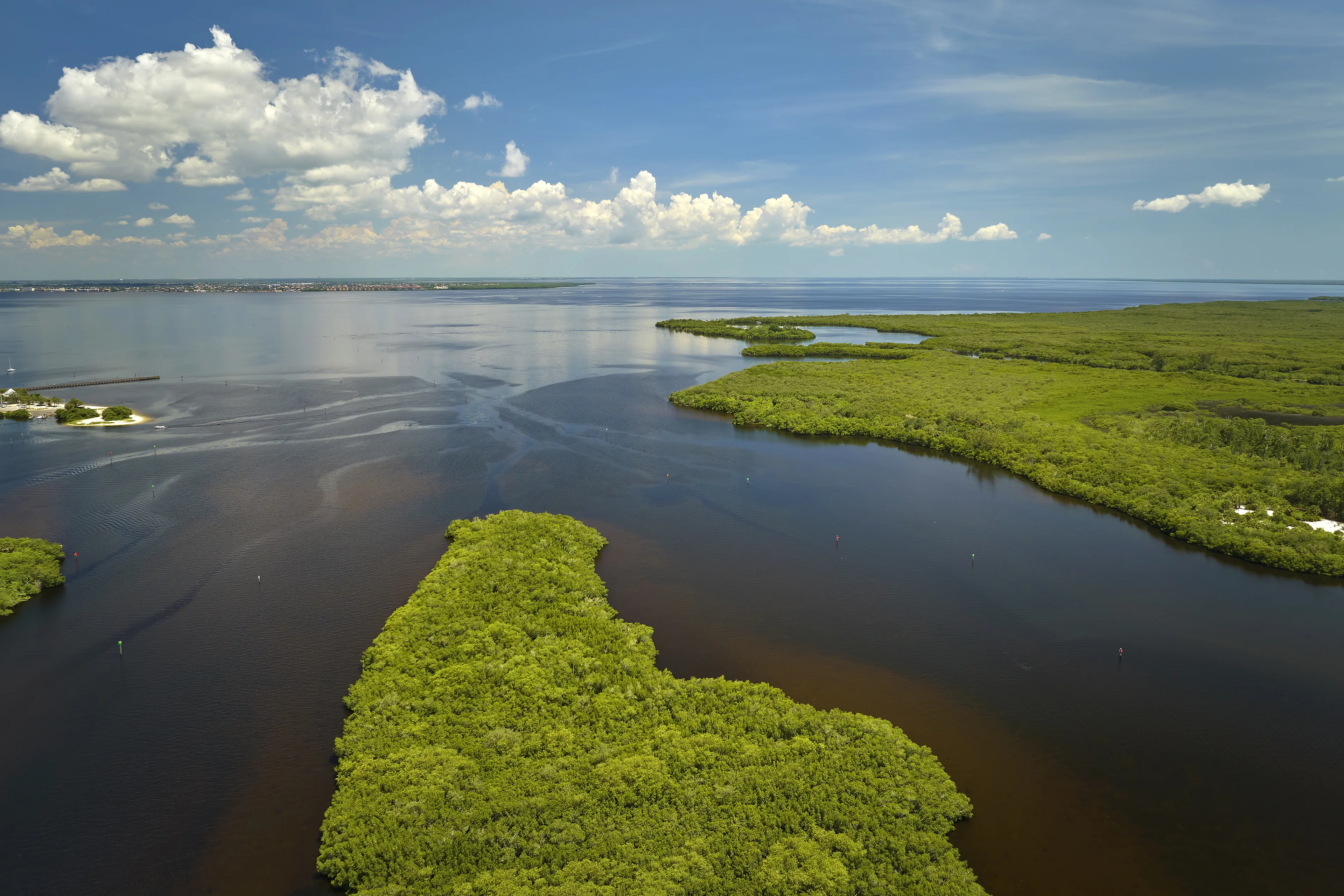 Everglades
