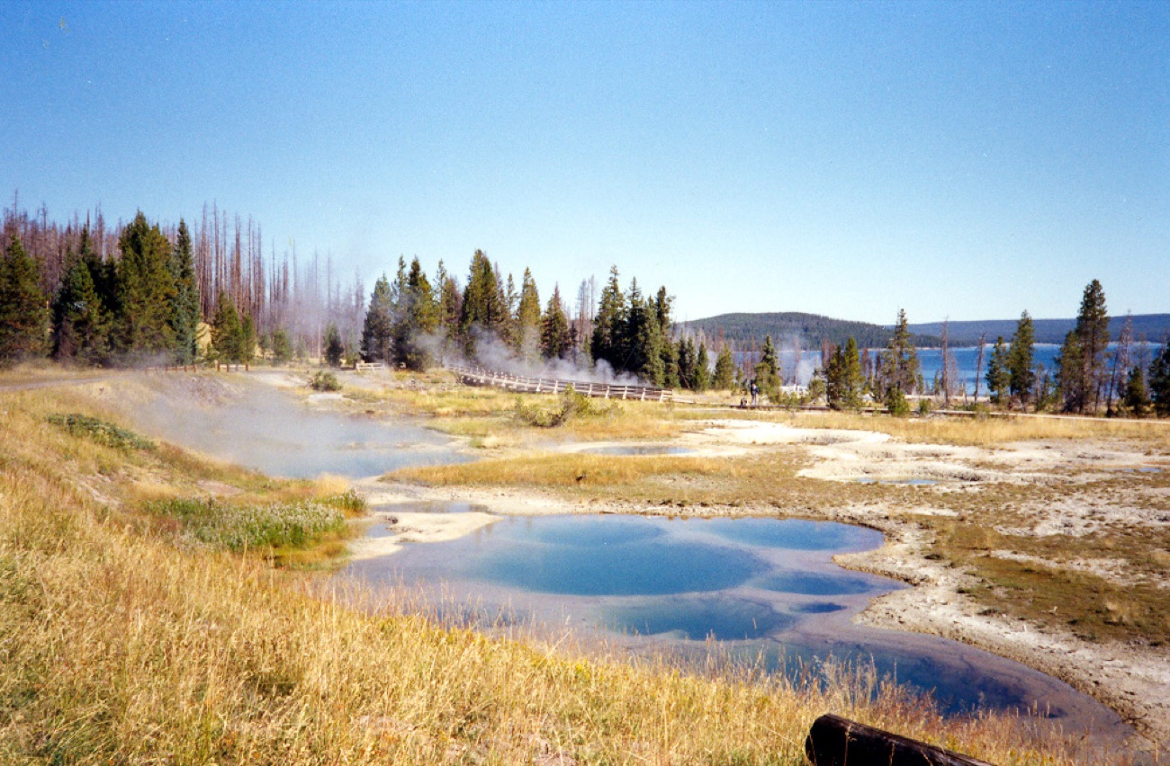 Steaming hot springs in Yellowstone, the water glowing in unreal colors