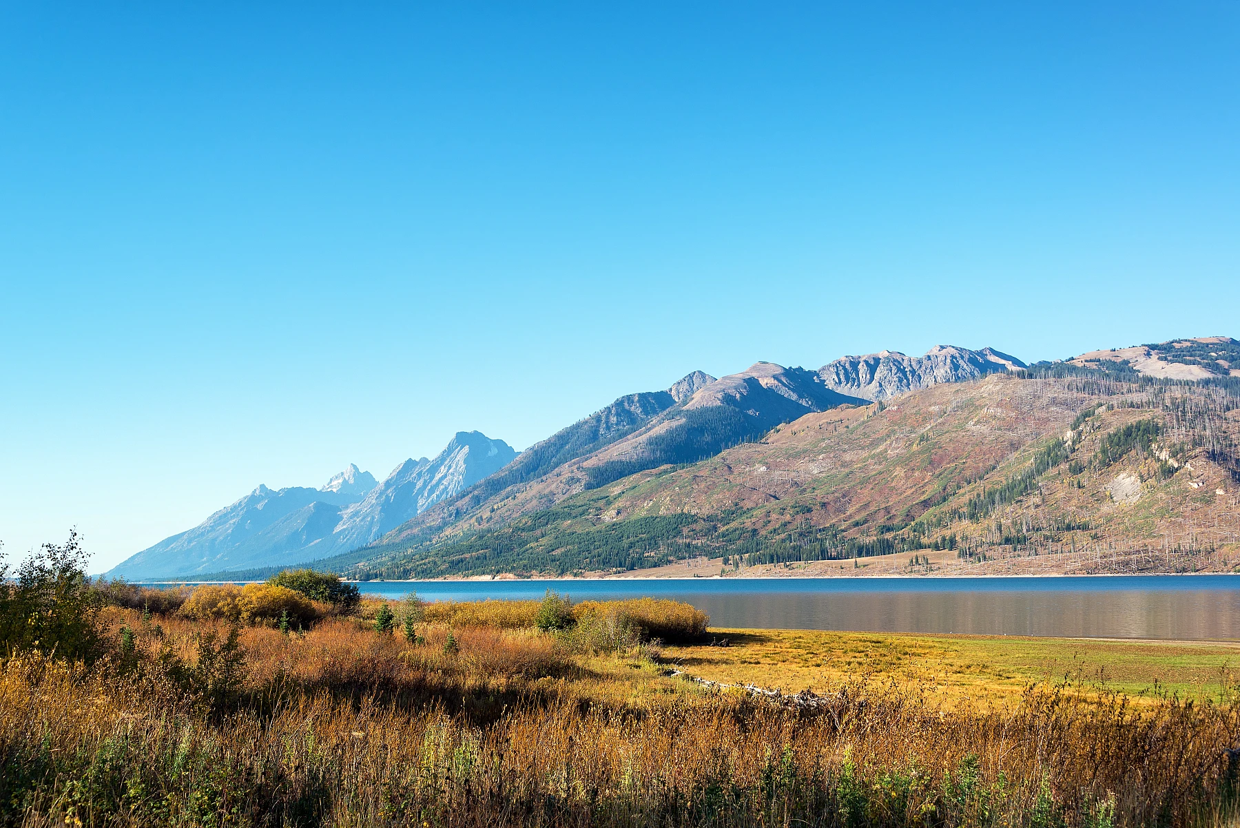 The jagged Grand Teton range, mirrored in the water.