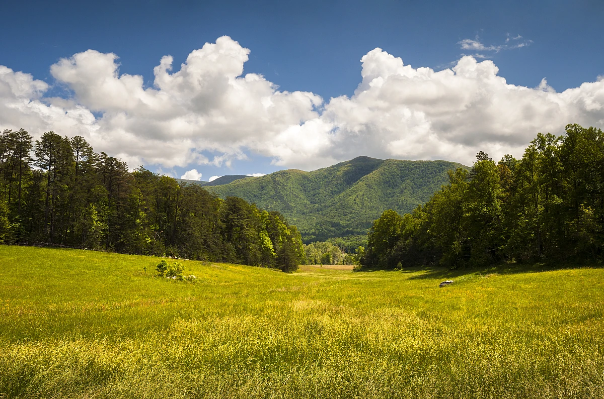 Cades Cove, Great Smoky Mountains