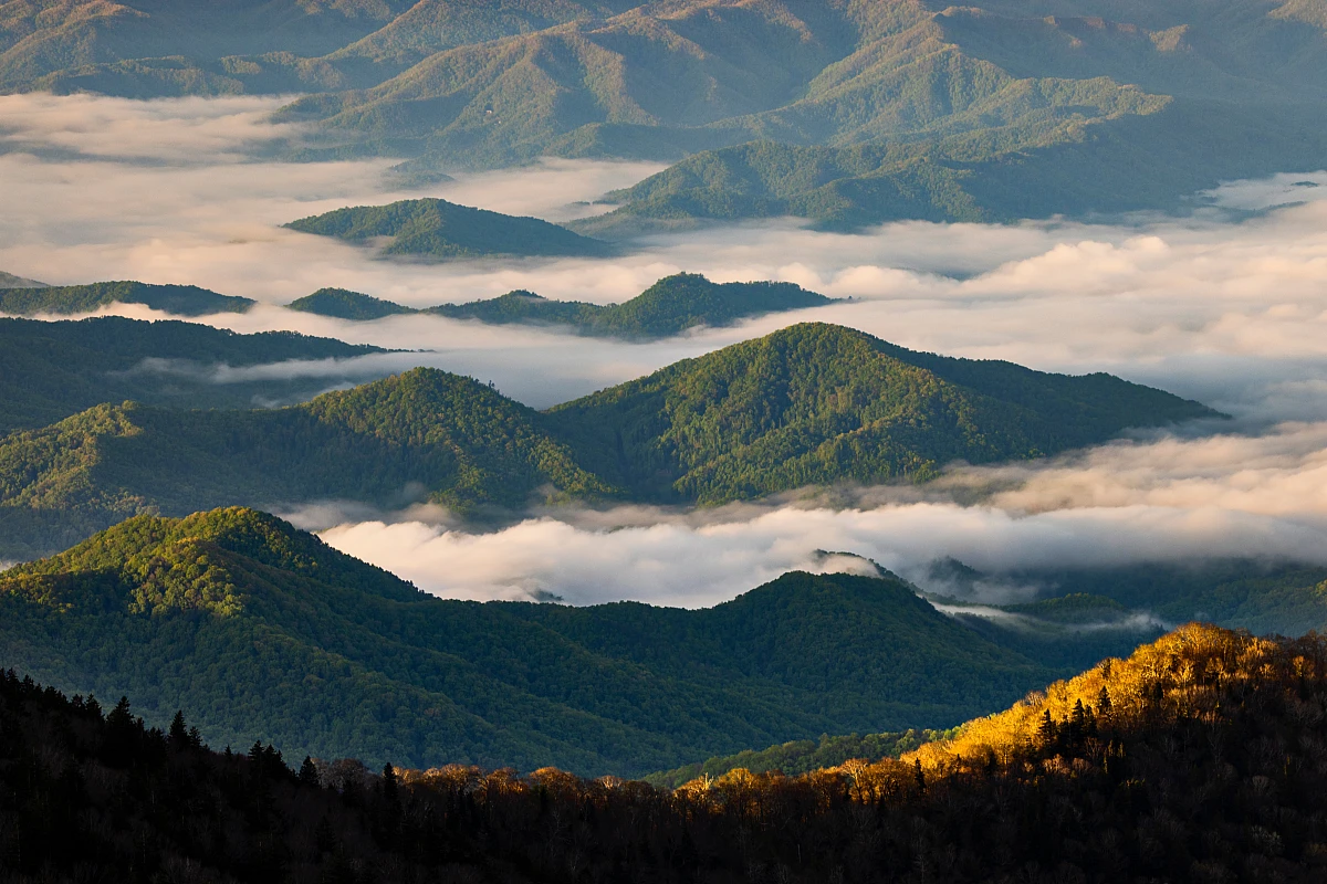 Clingmans Dome, Great Smoky Mountains