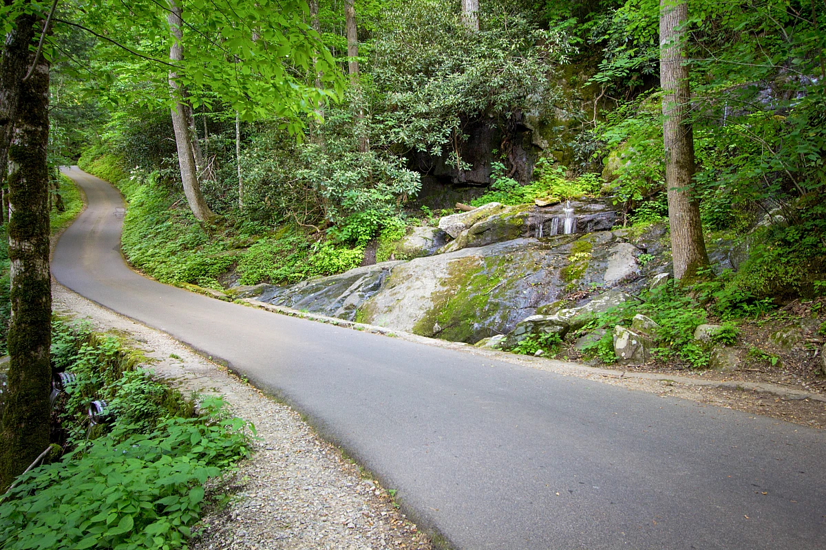Roaring Fork Motor Trail, Great Smoky Mountains