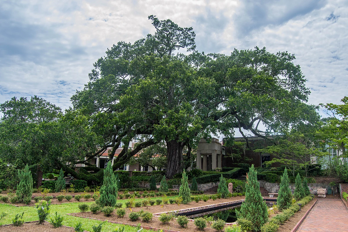 Riverside, Avondale and Cummer Museum, Jacksonville
