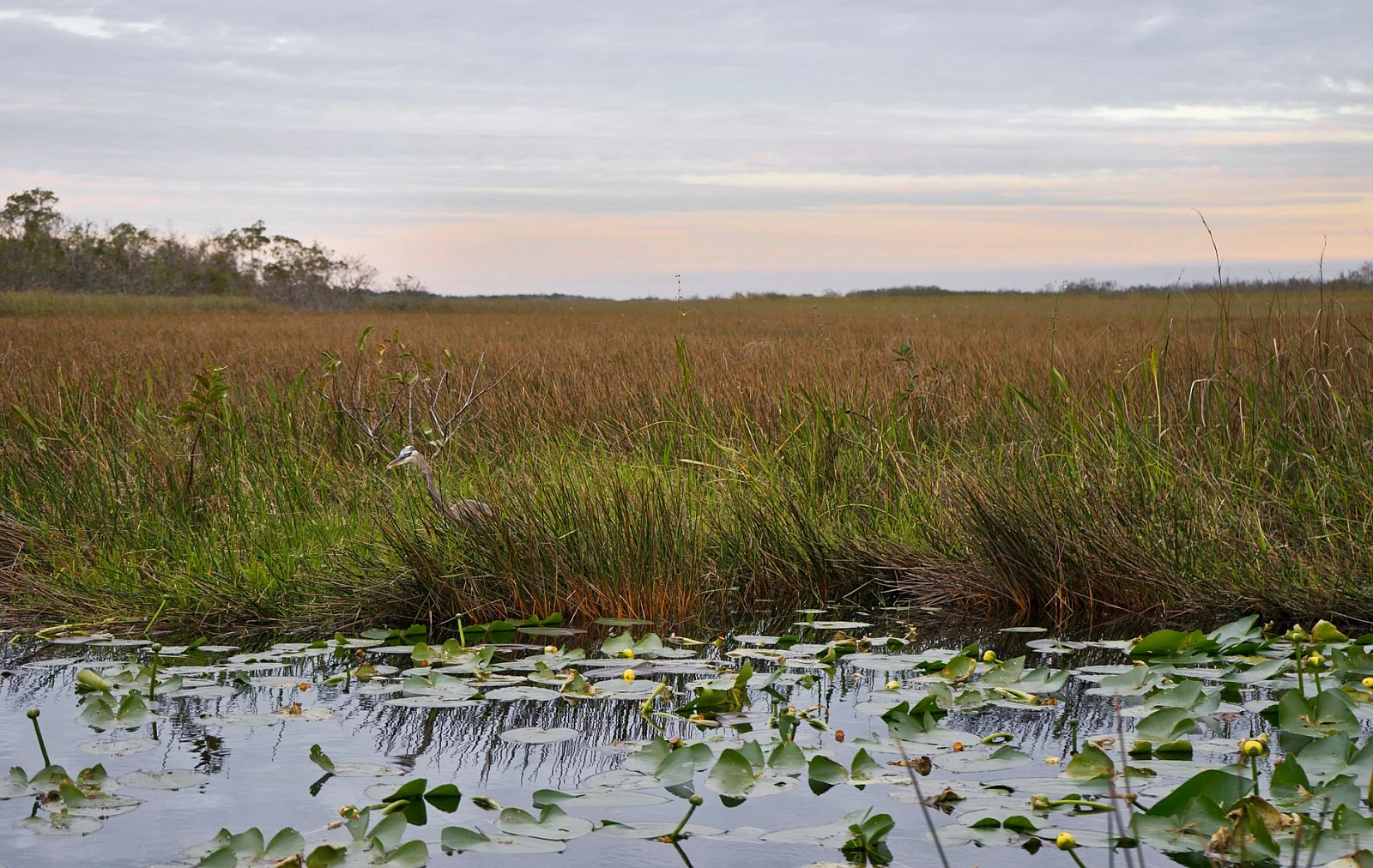 Everglades National Park, Miami