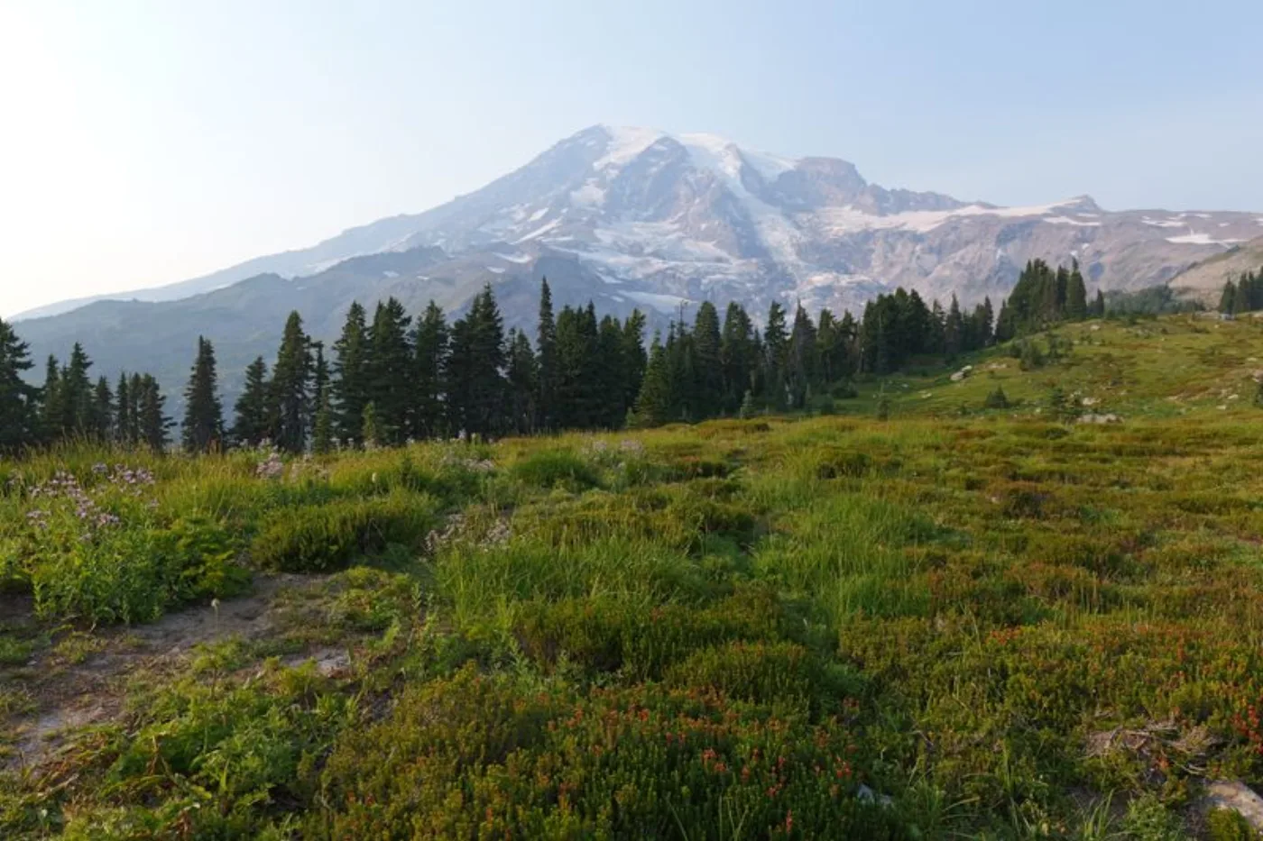 Mount Rainier