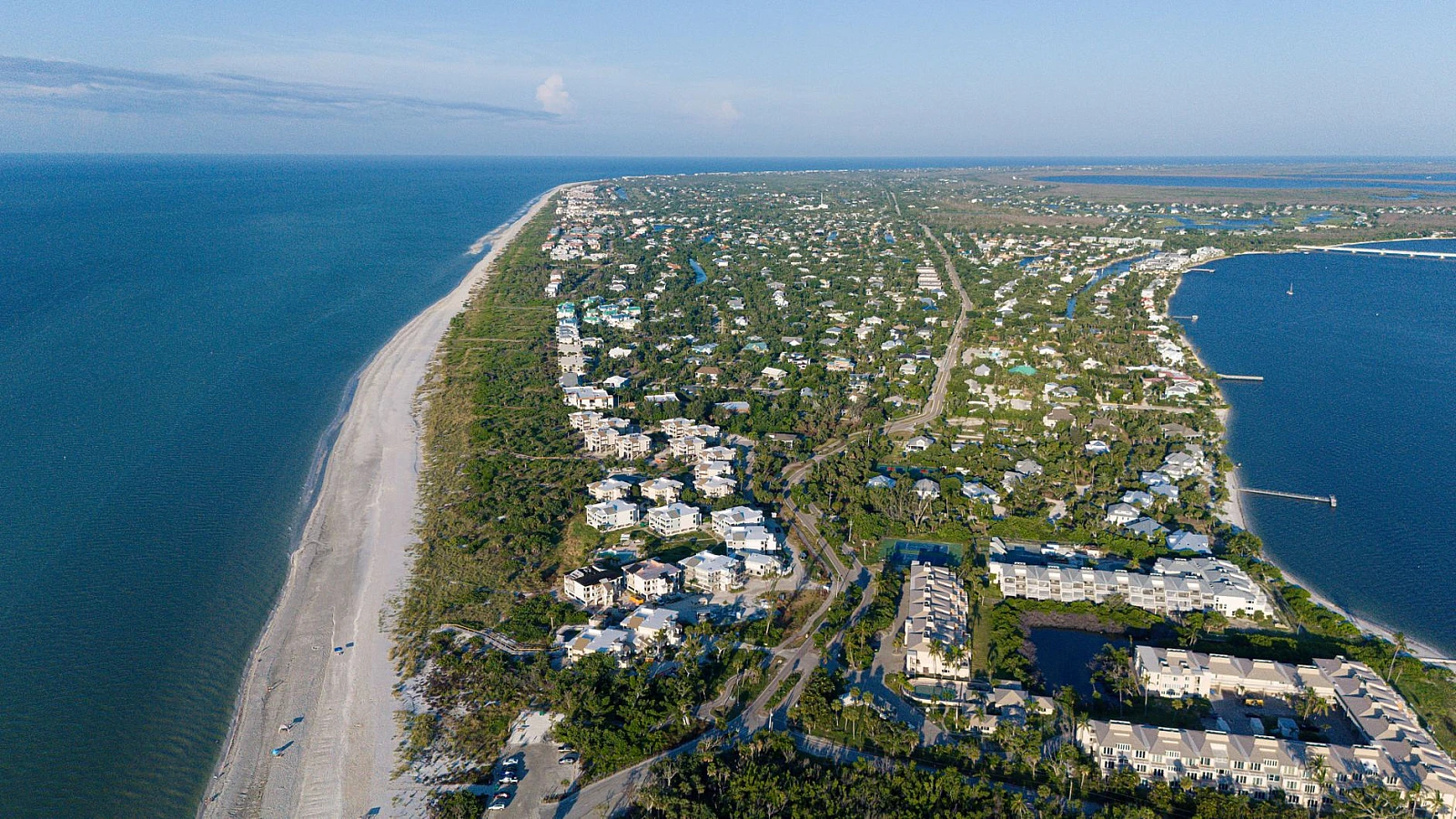The shell beaches, Sanibel