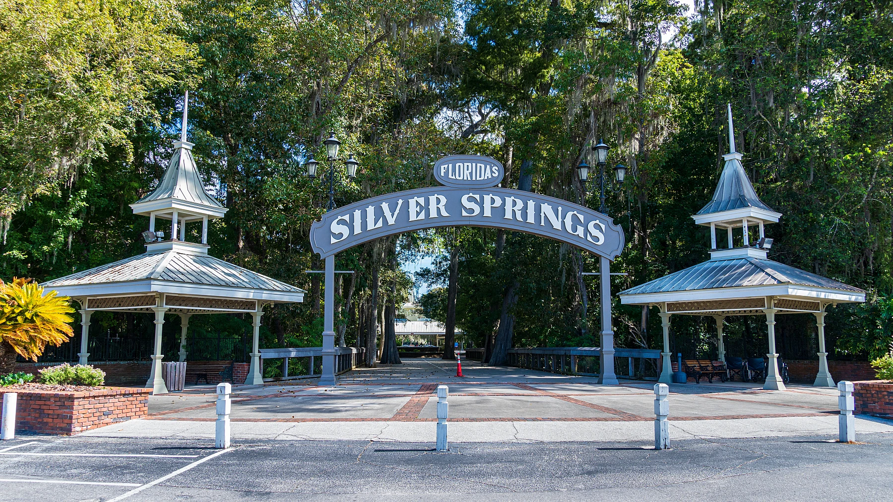 The crystal clear water of Silver Springs.