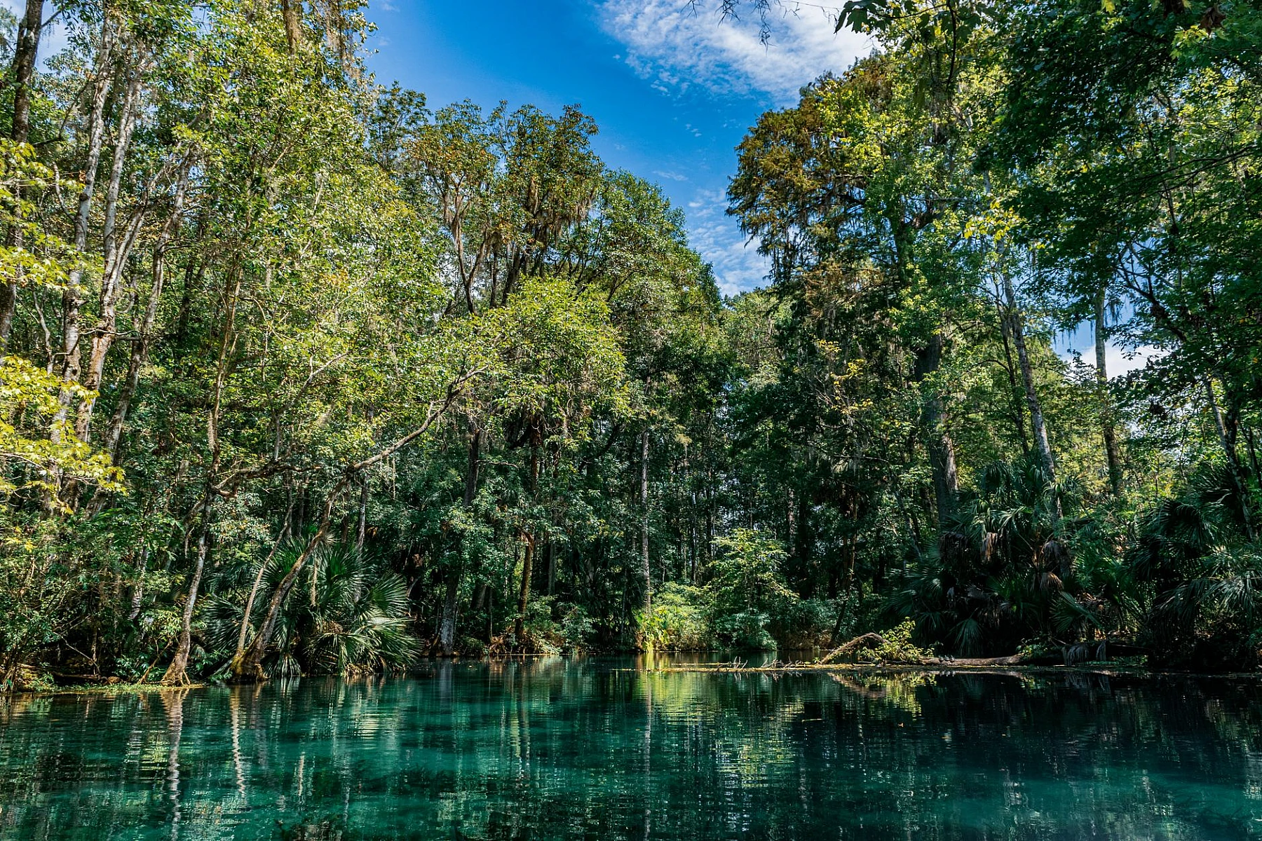 Silver Springs